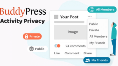 BuddyPress Auto Friendship Pro (v1.2.6)