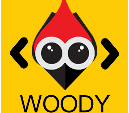 Woody Code Snippets Premium v2.5.1 [Activated]