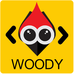 Woody Code Snippets Premium v2.5.1 [Activated]