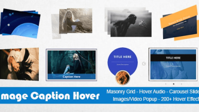 Image Caption Hover Pro WordPress Plugin v20.0