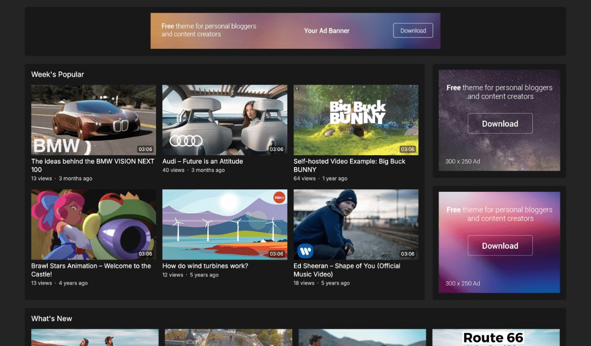 YouVideo Pro (v1.0.1) WPEnjoy Themes