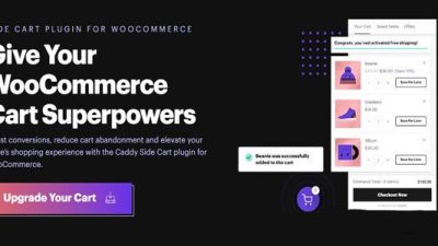Caddy Pro插件下载