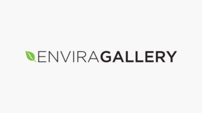Envira Gallery - audio拓展 插件下载