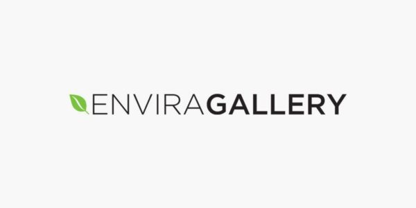 Envira Gallery Nextgen Importer拓展插件下载