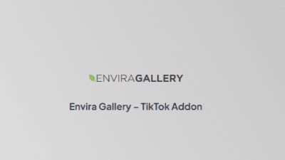 Envira Gallery – TikTok Addon插件下载