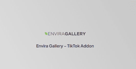 Envira Gallery – TikTok Addon插件下载