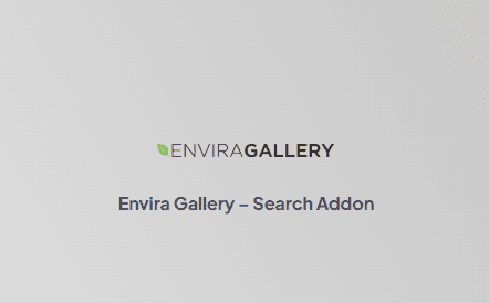 Envira Gallery – Search Addon插件下载