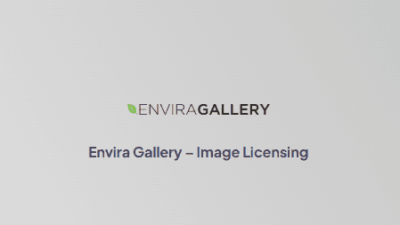 Envira Gallery – Image Licensing插件下载