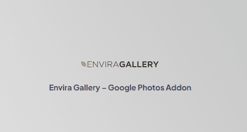 Envira Gallery – Google Photos Addon拓展插件下载