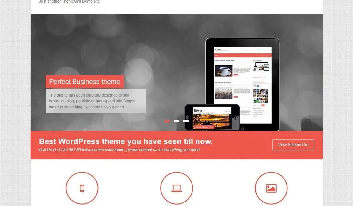 Esteem Pro v2.2.7 Wordpress Theme