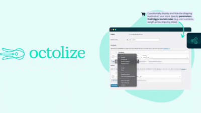 Conditional Shipping Methods Plugin for WooCommerce插件下载