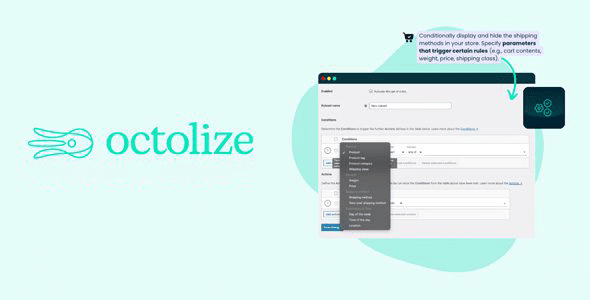 Conditional Shipping Methods Plugin for WooCommerce插件下载