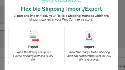 Flexible Shipping Import/Export (v1.5.19) [by Octolize, WpDesk] [Activated]