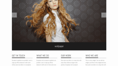 Graph Paper Press Albedo WordPress Theme 破解版下载