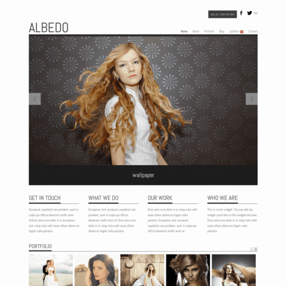 Graph Paper Press Albedo WordPress Theme 破解版下载