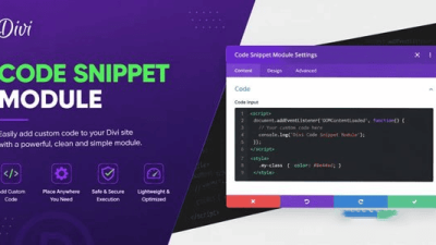 Divi Code Snippet Module插件下载