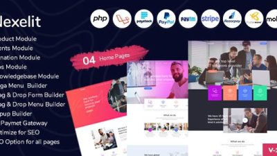 Nexelit v3.0.2 – Multipurpose Website & Business Management System CMS Download