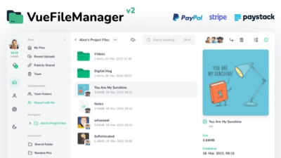 Fixed* Vue File Manager Pro v2.2.7 – Your Professional Storage Cloud Platform [Regular License] [Activated]