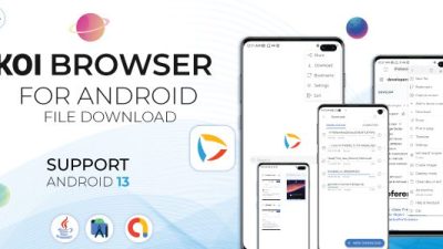 Koi Private Browser源码下载