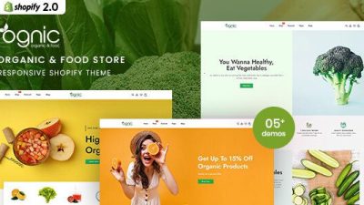 Ognic shopify主题下载