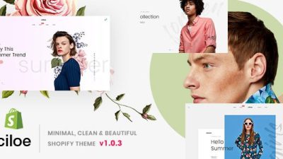 Ciloe shopfiy主题下载