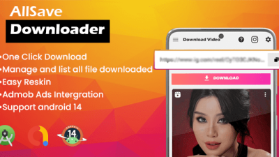 AllSave Pro - 5 March 2026源码下载