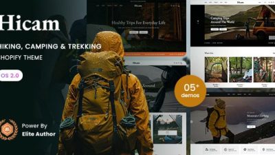 Hicam shopfiy主题下载