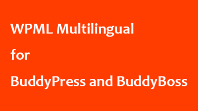 WPML Multilingual for BuddyPress and BuddyBoss插件下载