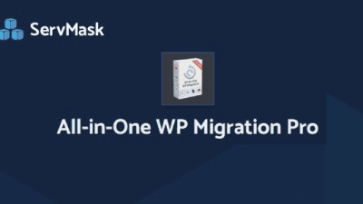 All-in-One WP Migration Pro插件下载
